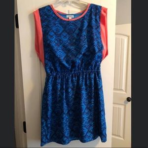 Charming Charlie’s Dress